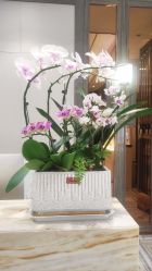 -百丽雅QueenSpa双美中心