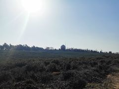 -方山风景区定林寺