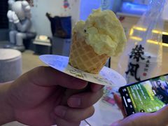 -野人牧坊Gelato(天津南开大悦城店)