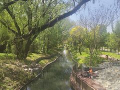 -北坞公园