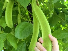 -中国天府农业博览园