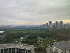 -贡湖湾湿地公园