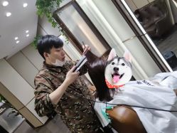 -崇尚GAVIN STYLE臻选