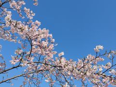 -上海辰山植物园