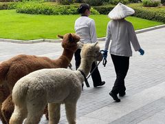-南宁荔园维景国际酒店·荔园中餐厅