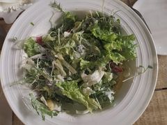 -Cafe Alice咖啡爱丽丝(奥城店)