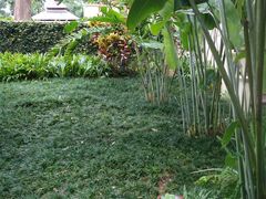 -四季酒店下午茶