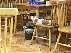 -青石桥老瓦房肥肠粉总店(青石桥总店)