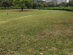 -雀儿山公园