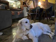 -咖法森林·咖啡  酒吧(天河店)