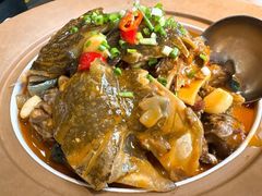 -洞庭家宴·头牌甲鱼(广渠门店)