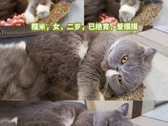 -江南西(地铁站)