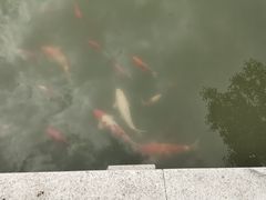 -雅达·阳羡溪山小镇中心