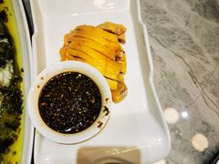 -老绍兴养和饭店(向阳不夜城店)