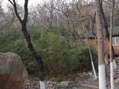 -石老人观光园