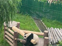 -沈阳森林动物园