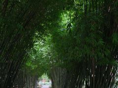 -堤角公园