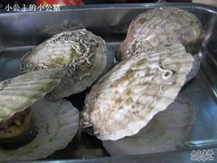 清蒸大扇贝-胶东海鲜大排档(北太平庄店)