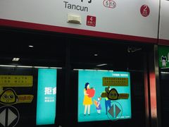 -潭村(地铁站)