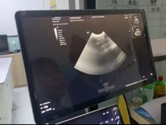 -嘉馨宠物医院·CT影像转诊·心脏科·犬猫全科诊疗中心(下沙大学城院区)