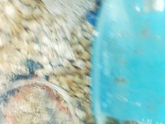 -晓伟海鲜家常菜
