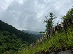 -襄阳古城