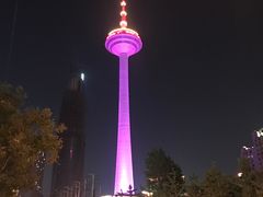 -辽宁电视塔