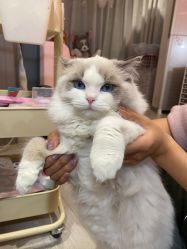 -Beauty Nails 美甲美睫皮肤管理