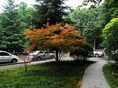 -陕西师范大学(雁塔校区)