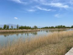 -野鸭湖国家湿地公园