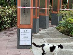 -九龙公园