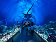 -贵州省地质博物馆