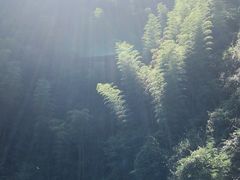 -将军关探险漂流