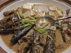 -红椒香·闽北光泽菜·宴请聚会(奥体店)