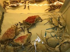 -無招牌海鮮(芽笼店)