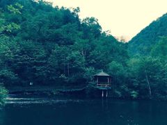 -凤凰山国家森林公园