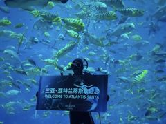 -三亚亚特兰蒂斯度假区