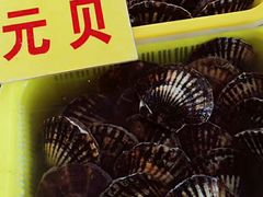 -大湾区中央湿地公园-十九涌