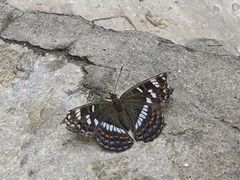 -少华山国家森林公园