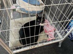 -壹迦桌游·血染钟楼剧本杀狼人杀