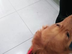 -申普宠物医院·眼科·心内科·影像科(普陀分院)