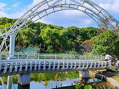 -上海共青森林公园