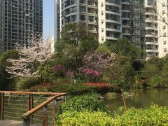 -新湖明珠城
