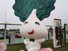 -上海都市菜园