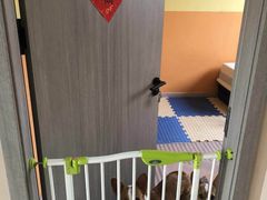 -趣玩宠物乐园寄养训犬训狗游泳池