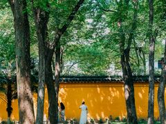 -西园戒幢律寺