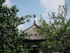 -趵突泉景区