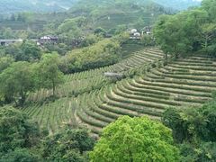 -东部华侨城
