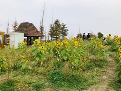 -嘉北郊野公园