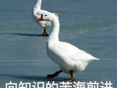 -山东师范大学(千佛山校区)